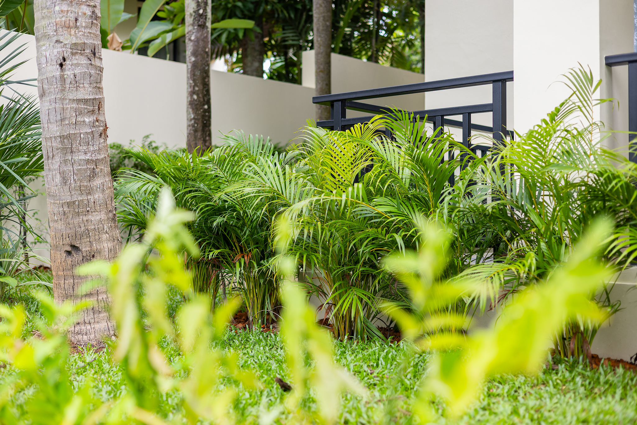 The Laytin Villa 80